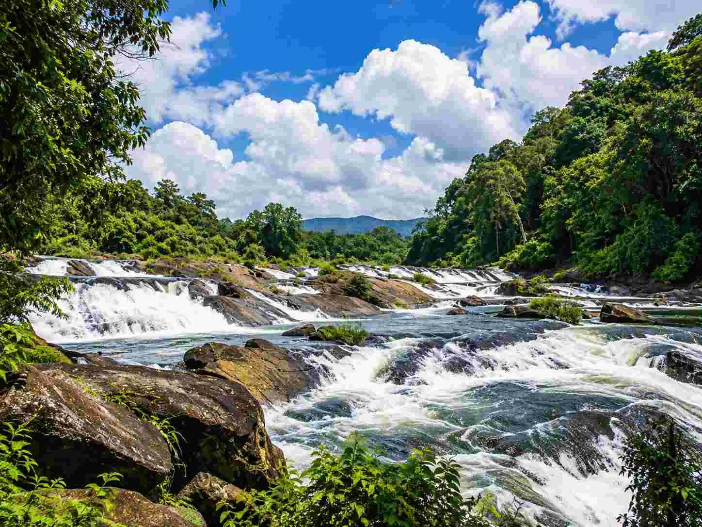 Vazhachal Cascades and Forest